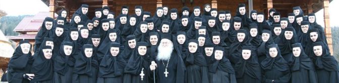 manastirea_paltin5_web