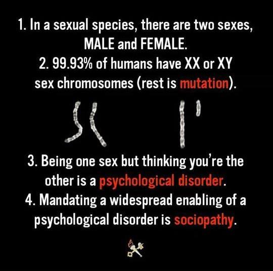 mic manifest despre gen