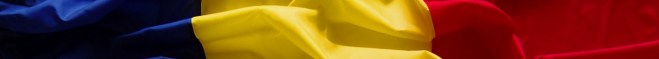 steag-tricolor-banda-crop