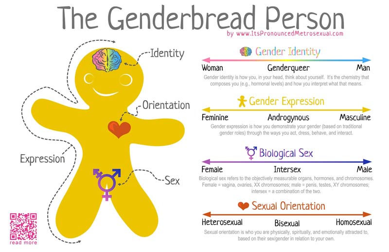 Genderbread-Person