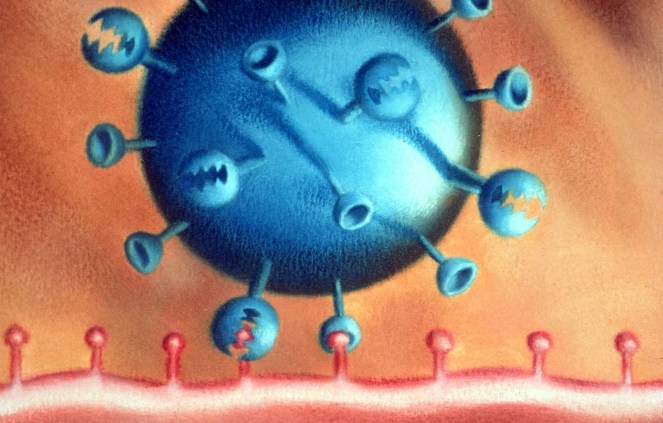 Influenza_Protein_Attaching_to_Cell_Membrane