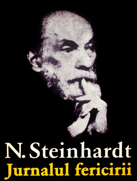 steinhardt nicolae