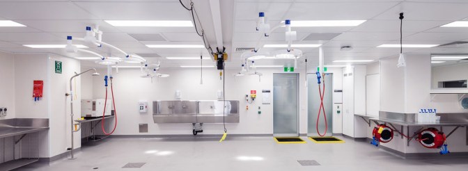 Necropsy-Laboratory-by-Graphite