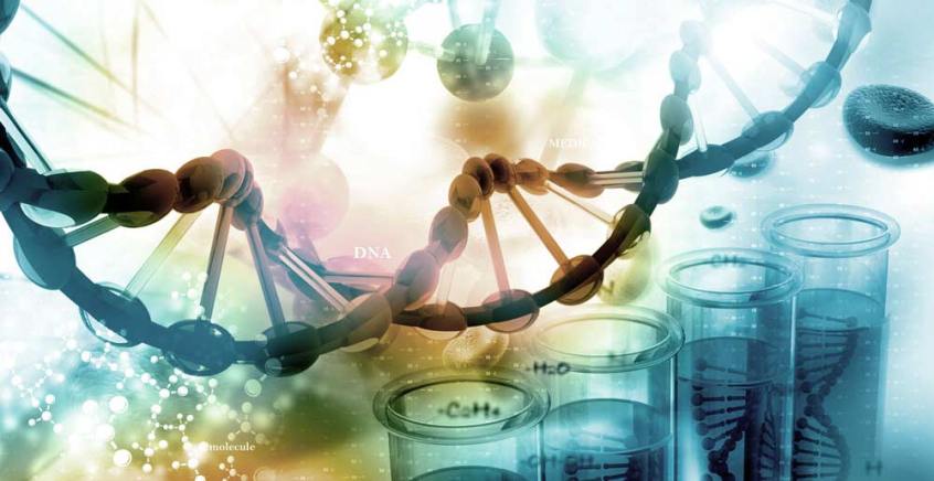 adn krf-postcard-2016_shutterstock_272178188_web2