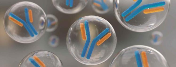 NS19055_iStock-1025362538---antibodies